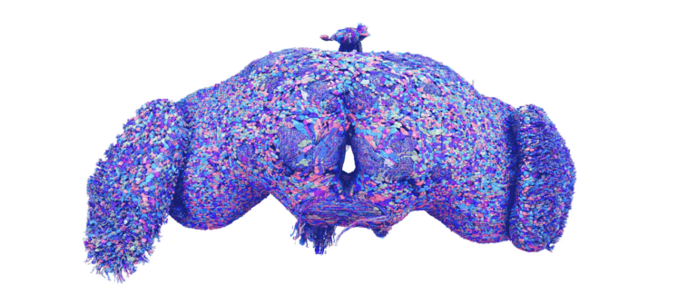 Purple and blue diagram of a fly brain.